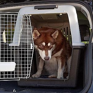 Transportator de caini Ferplast Atlas 60 Grey (F05818)