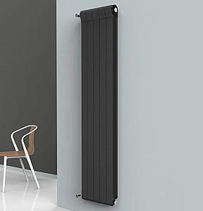 Radiator Radiatori2000 Ottimo Plus 2000 (1 elem) (12045)