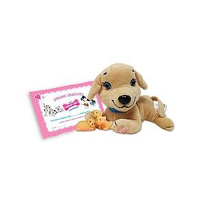 Set de jucarii sbabam Surpriza 067893