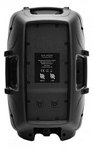 Boxe Pronomic PH12