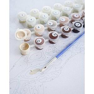 Tablou pe numere BrushMe Harta colorata BS52296