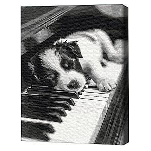 Tablou pe numere BrushMe Melodie BS54066