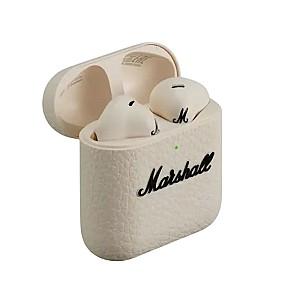 Casti Marshall Minor IV Cream