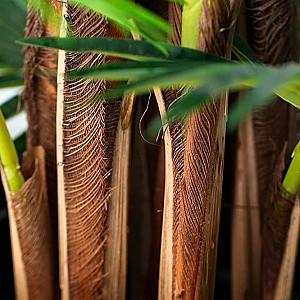 Flori artificiale OEM/ODM Fan Palm (Green)