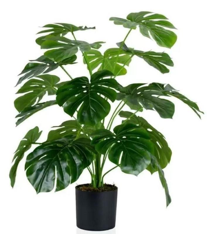 Flori artificiale Cilgin G333 Monstera 60cm