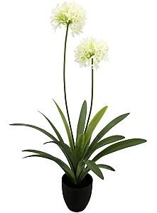 Flori artificiale OEM/ODM Narcissus 108cm (Green/White)