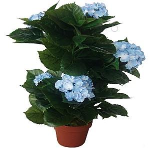 Flori artificiale OEM/ODM Hydrangea 45cm (Green/Blue)