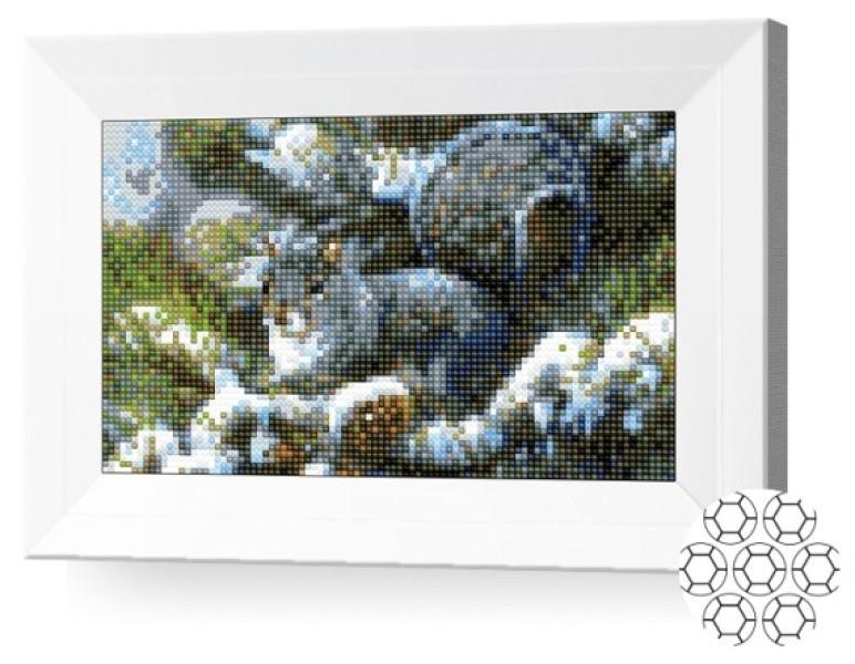 Pictura cu diamante New World JS13260