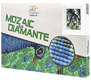 Pictura cu diamante New World JS13260