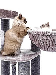 Ansamblu pentru pisici PETREBELS Lucky Bastards Vista 170 Cappuccino