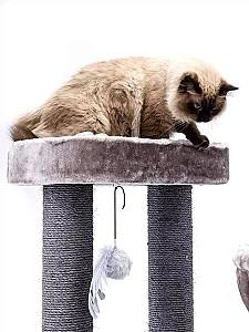 Ansamblu pentru pisici PETREBELS Lucky Bastards Vista 170 Cappuccino