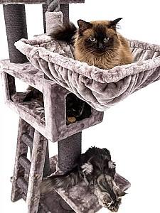 Ansamblu pentru pisici PETREBELS Lucky Bastards Parklane 175 Cappuccino