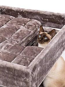 Ansamblu pentru pisici PETREBELS SWEET PETIT Lodge 107 Cappuccino