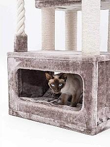 Ansamblu pentru pisici PETREBELS SWEET PETIT Lodge 107 Cappuccino