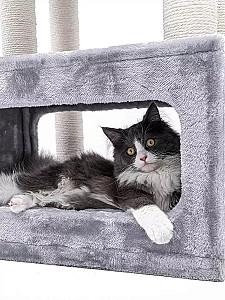 Ansamblu pentru pisici PETREBELS SWEET PETIT Lodge 107 Grey