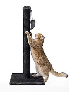 Ansamblu pentru pisici PETREBELS LITTLE REBELS Maine 90 de Luxe Pepper