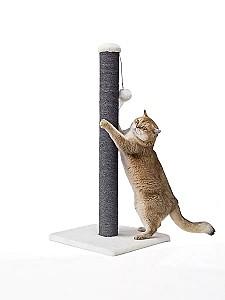 Ansamblu pentru pisici PETREBELS LITTLE REBELS Maine 90 de Luxe off White