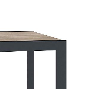 Masuta laterala DP Notebook Bej/Negru