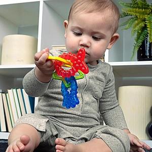 Jucarie bebelus Baby Einstein Ocean Explorers Cool Critters