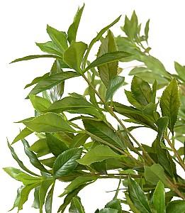 Flori artificiale DP Andromeda Japoneza