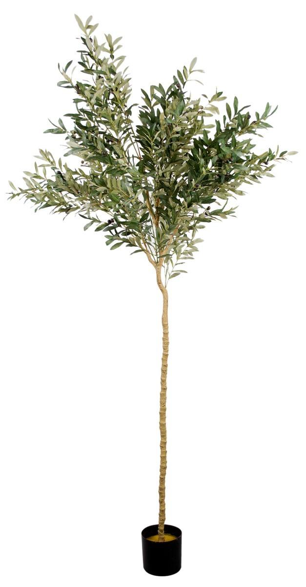 Flori artificiale DP Arbore de maslin 180 cm