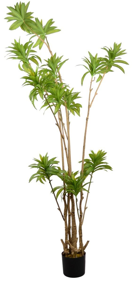 Flori artificiale DP Arbore Dracaena Reflexa