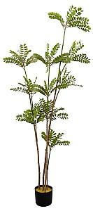 Flori artificiale DP Arbore Phyllanthus Emblica