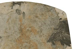 Masuta de cafea, reviste DP Lex Beige