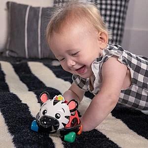 Jucarie bebelus Baby Einstein Curious Car Zen Oball