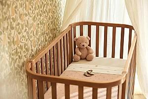 Jucarie de plus Jollein Teddy Bear Wild Rose