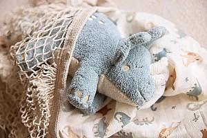 Jucarie de plus Jollein Roarsome