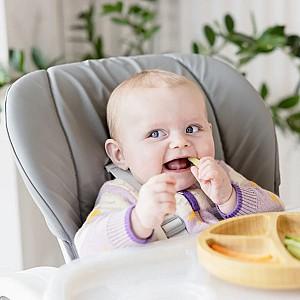 Scaun de masa simplu Joie Mimzy Recline Arctic