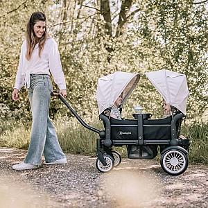 Carucior pentru gemeni BabyGo Cozy Rider
