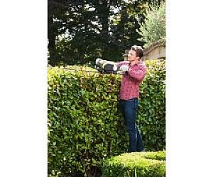 Masina de tuns gard viu pe benzina Ryobi RHT25X55R (5133003670)