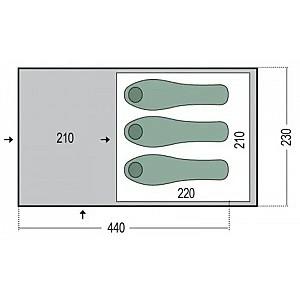 Cort Pinguin Nimbus 3 Green