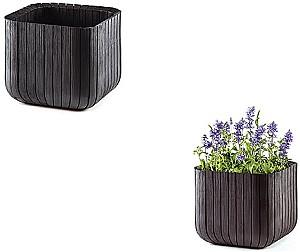  Keter Cube Planter M Anthracite