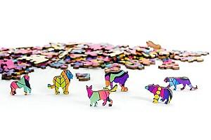 Puzzle Eureka Rainbowooden (473613)