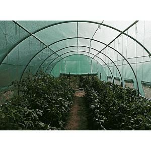 Seră de tip tunel Tehno Ms 10x3x2m