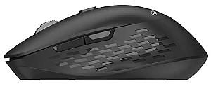Mouse TELLUR TLL491371