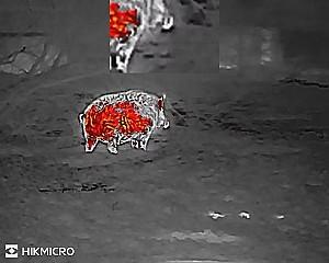 Monocular cu termoviziune HikMicro LYNX LH19 2.0