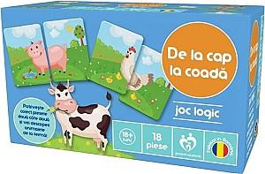 Joc de logica Noriel De la cap la coadă (Ro)