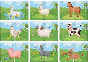 Joc de logica Noriel De la cap la coadă (Ro)