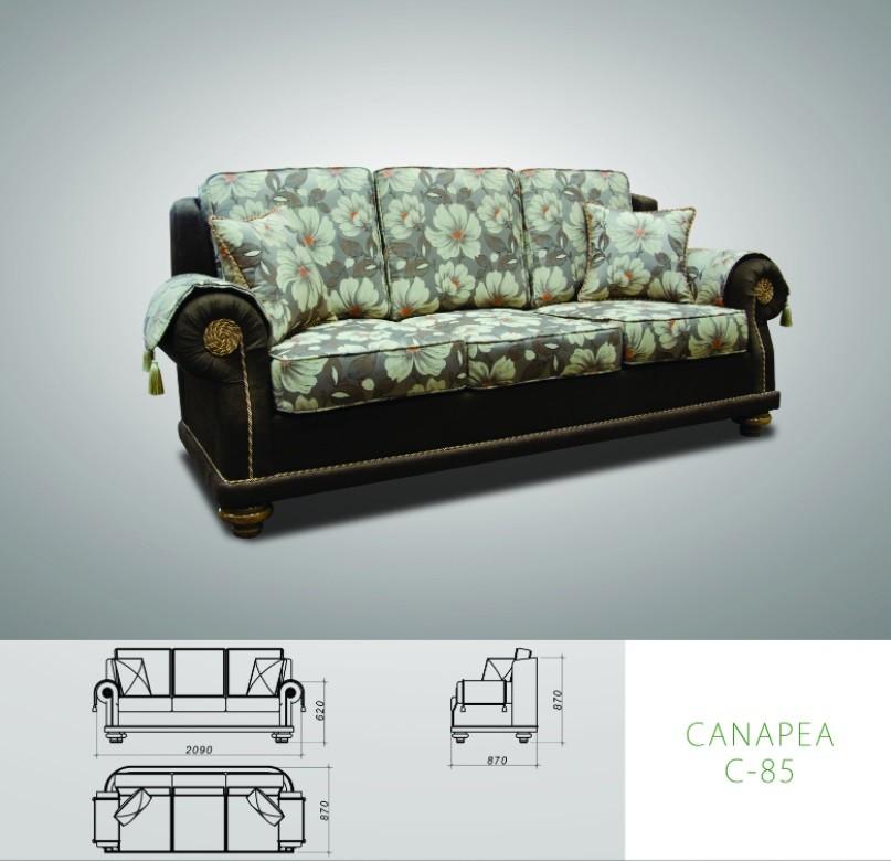 Canapea Creator Iurie Bors C - 85