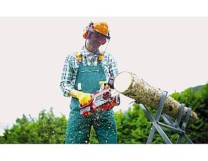 Fierastrau electric cu lant Einhell GE-LC 18/25 Li Solo