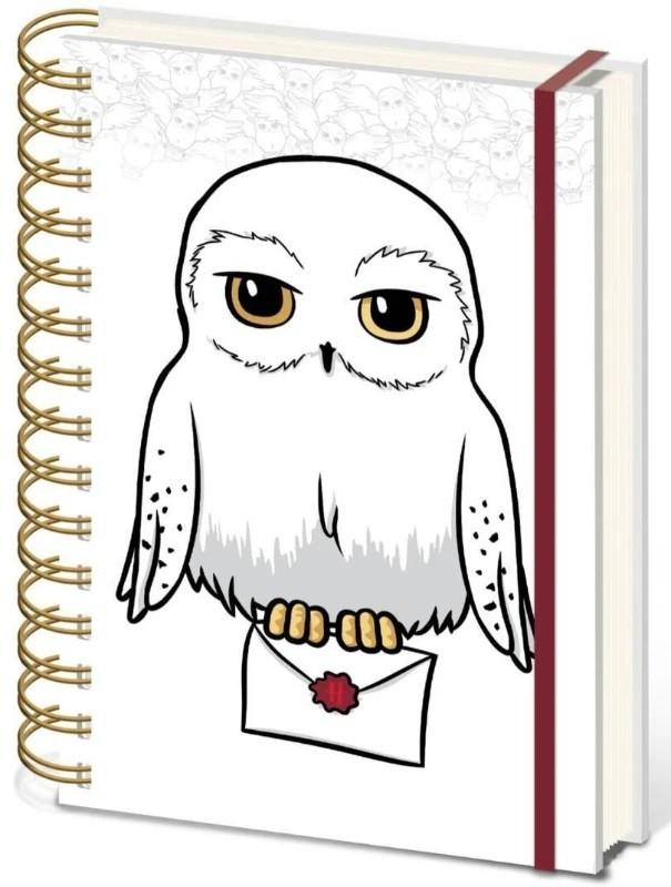 Carnet / agenda Pyramid Harry Potter (SR74526)