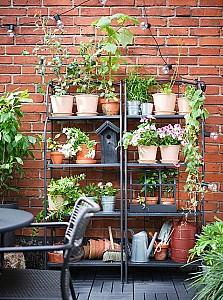  IKEA Lacko exterior 61x160 Gri