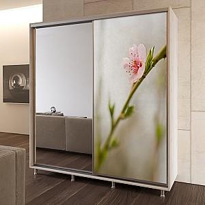 Dulap-cupe PS D-200 (1 foto) Chamonix Deschis