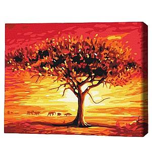 Tablou pe numere BrushMe Soarele desertului (fara cutie)