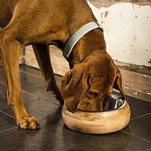 Bol de hrana pentru caini DBL bol din oțel inoxidabil în lemn MANDIRA 650 ml