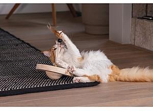 Jucarie pentru pisica Beeztees jucărie pentru pisici WINNIE Wood Brown 22x22x30cm